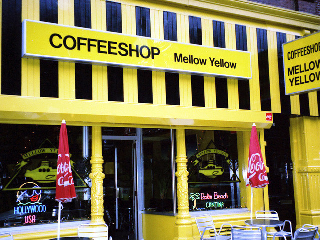 coffee-shop-mellowyellow.jpg