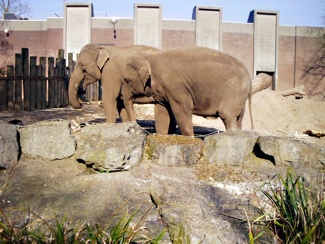 zoo8.jpg