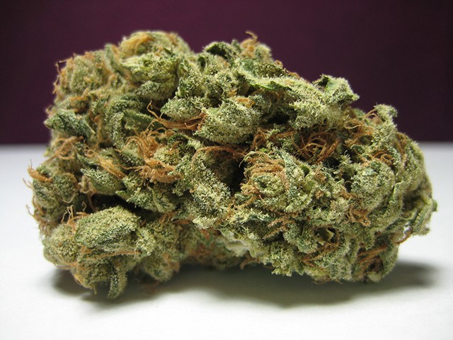 Iamgreek.nl - Indica or Sativa. Try the most common varieties in the  Netherlands